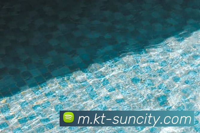 太阳城网站发展历程